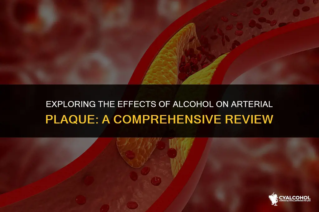 does alcohol reduce arterial plaque