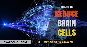 The Sobering Truth: Alcohol's Impact on Brain Cells Explored