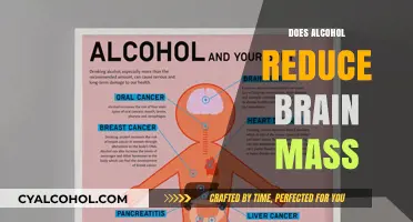 Exploring the Effects of Alcohol on Brain Health: A Comprehensive Study