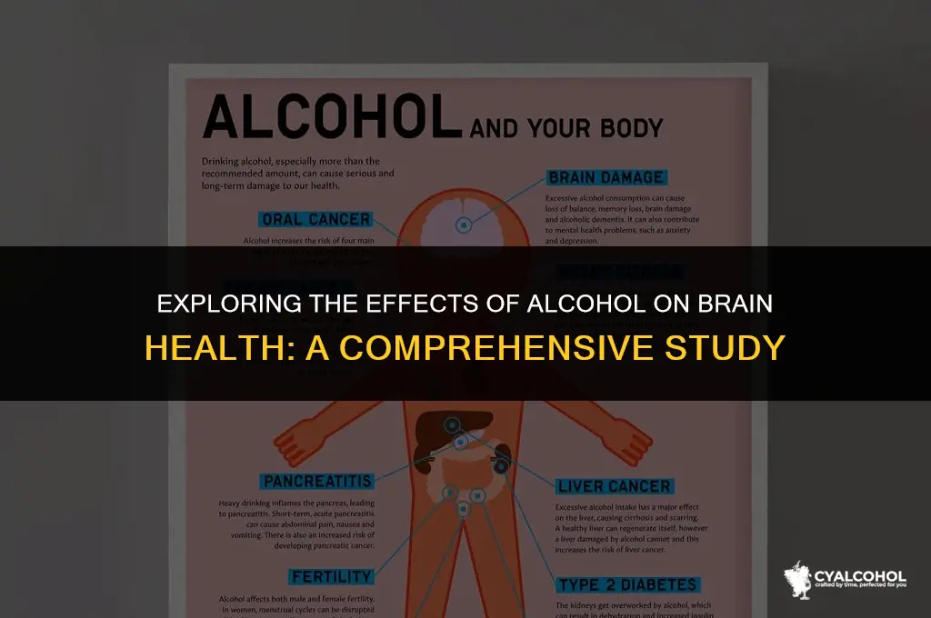 does alcohol reduce brain mass