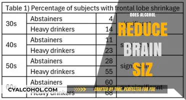Exploring the Effects of Alcohol on Brain Size: A Comprehensive Study