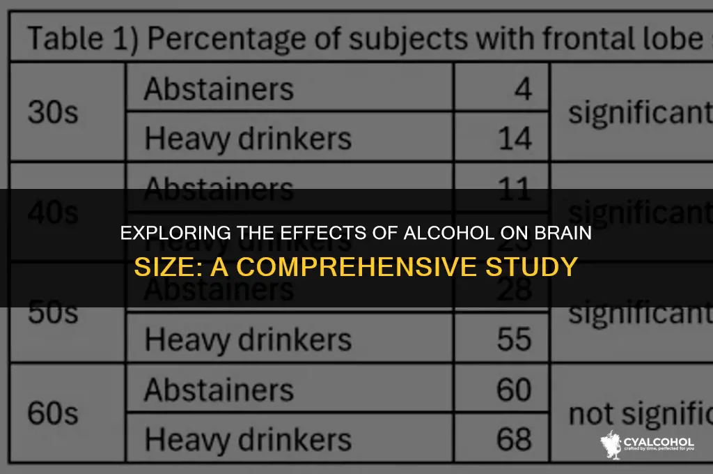 does alcohol reduce brain siz