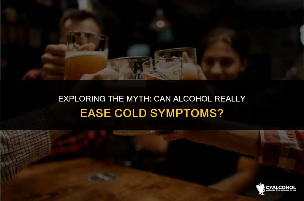 does alcohol reduce cold symptoms