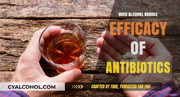 Alcohol and Antibiotics: Does Drinking Compromise Medication Effectiveness?