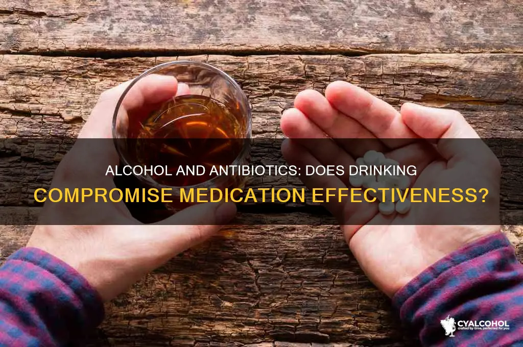 does alcohol reduce efficacy of antibiotics