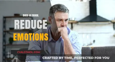Does Alcohol Really Numb Emotions? Exploring the Truth Behind the Myth