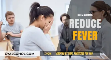 Alcohol and Fever: Debunking Myths About Its Effectiveness in Reducing Fever
