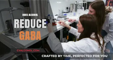 Does Alcohol Reduce GABA? Exploring the Science Behind the Myth