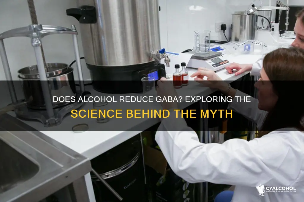 does alcohol reduce gaba