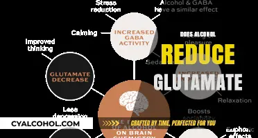 Alcohol's Impact on Glutamate: Unraveling the Brain Chemistry Connection
