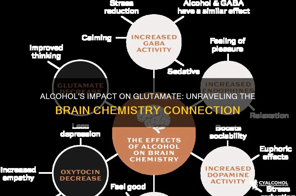 does alcohol reduce glutamate