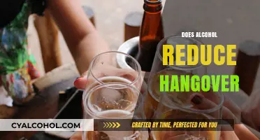 Can Alcohol Cure Hangovers? Debunking Myths and Exploring Remedies