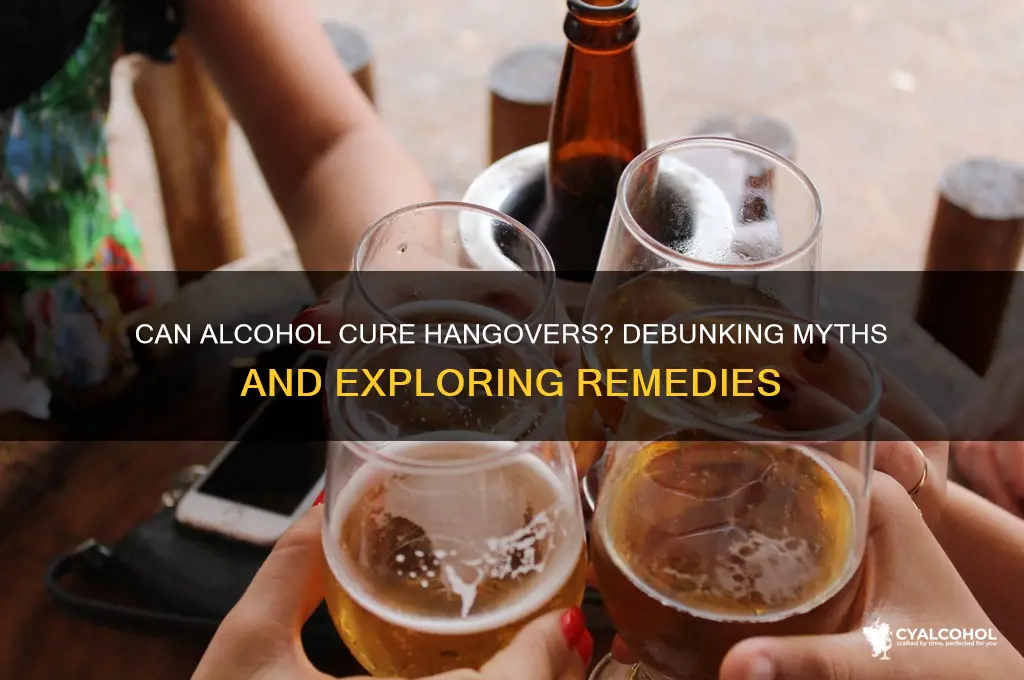 does alcohol reduce hangover