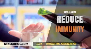 Alcohol's Impact on Immunity: How Drinking Affects Your Body's Defenses