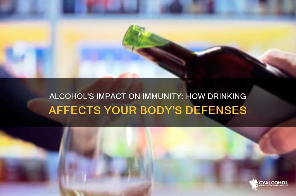 does alcohol reduce immunity