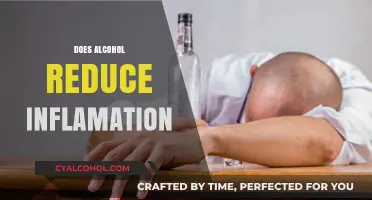 Alcohol and Inflammation: Unraveling the Myth of Its Anti-Inflammatory Effects