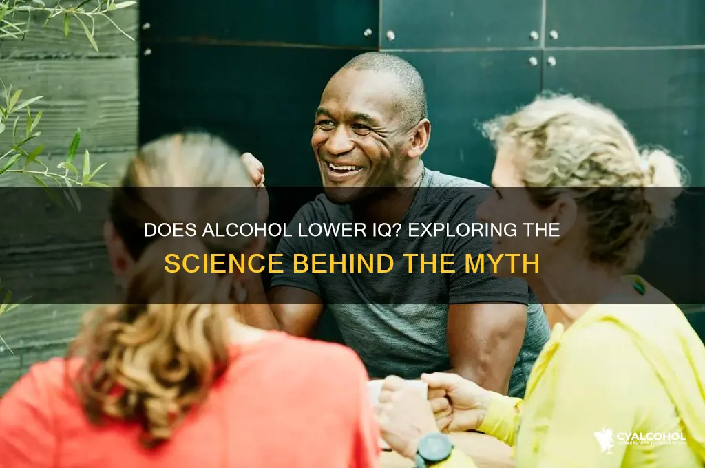 does alcohol reduce iq