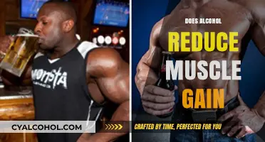 Does Alcohol Reduce Muscle Gain: The Truth Behind Fitness and Drinking