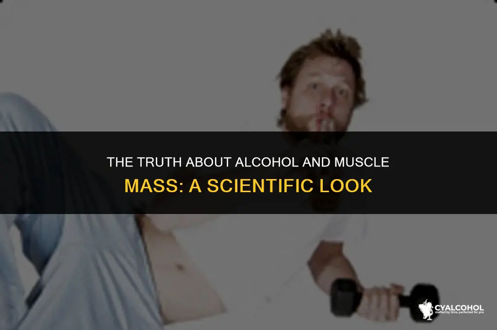 does alcohol reduce muscle mass