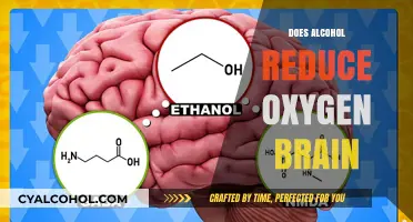 Exploring the Effects: Does Alcohol Consumption Impact Brain Oxygenation?