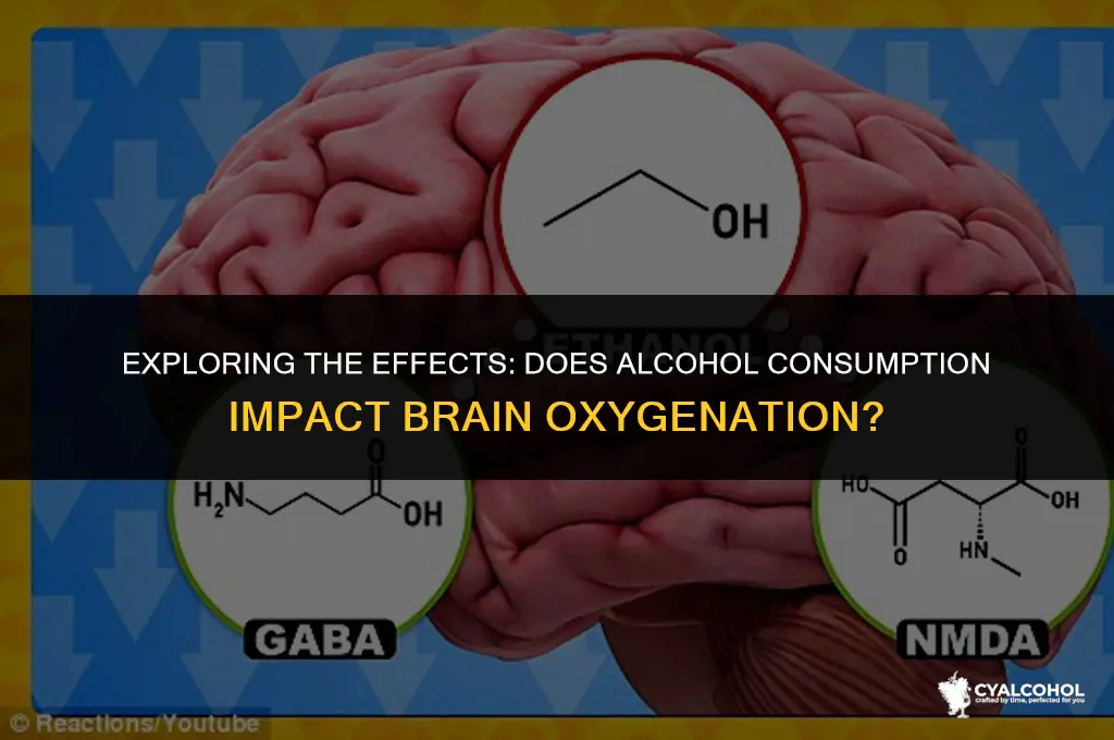 does alcohol reduce oxygen brain