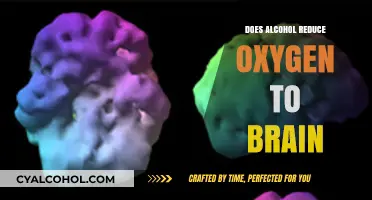 Alcohol's Impact on Brain Oxygen Levels: Uncovering the Truth