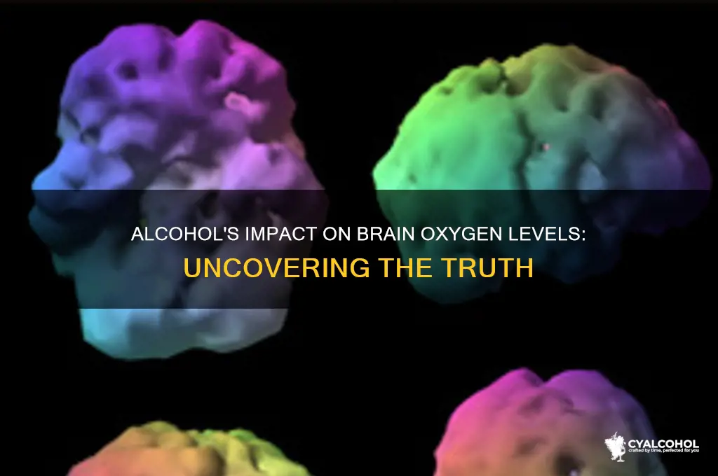 does alcohol reduce oxygen to brain