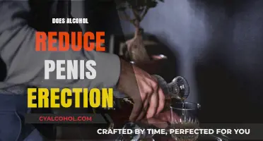 Exploring the Effects of Alcohol on Male Sexual Function