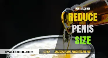 Exploring the Myths: Alcohol's Impact on Penis Size Revealed