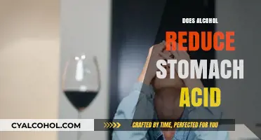 Exploring the Effects of Alcohol on Stomach Acid: A Comprehensive Guide