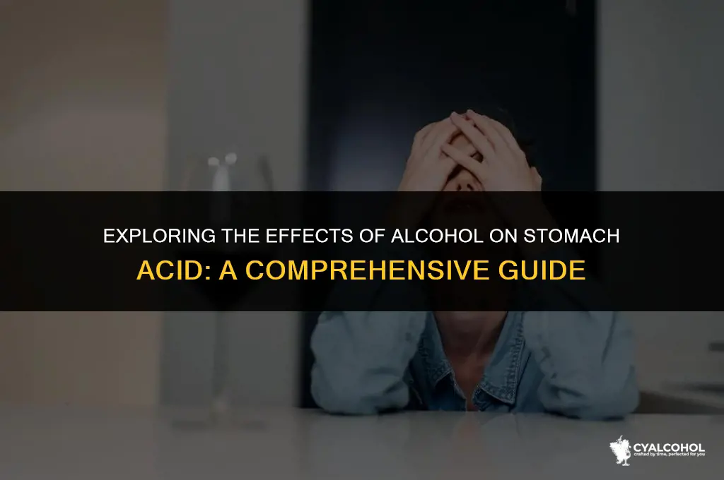 does alcohol reduce stomach acid