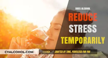 Unwinding with a Drink: Temporary Stress Relief or Long-Term Effects?