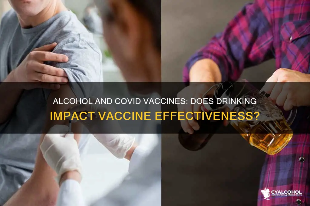 does alcohol reduce the efficacy of covid vaccine