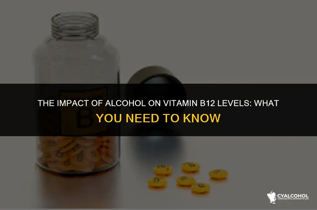 does alcohol reduce vitamin b12