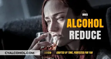 Does Alcohol Reduce Stress or Worsen Health? Exploring the Truth