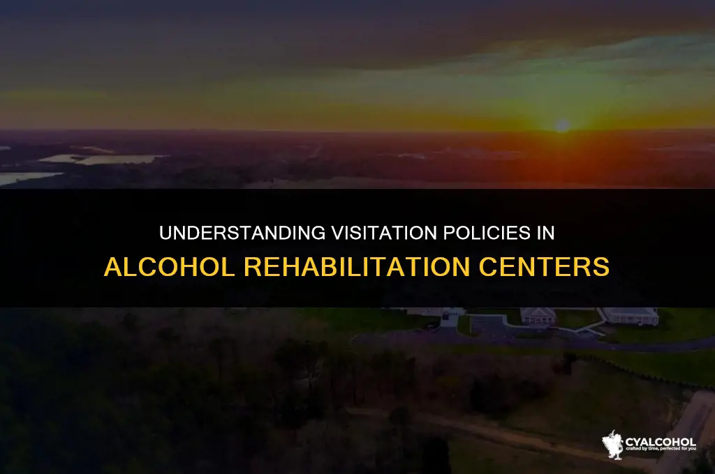 does alcohol rehab allow visitors