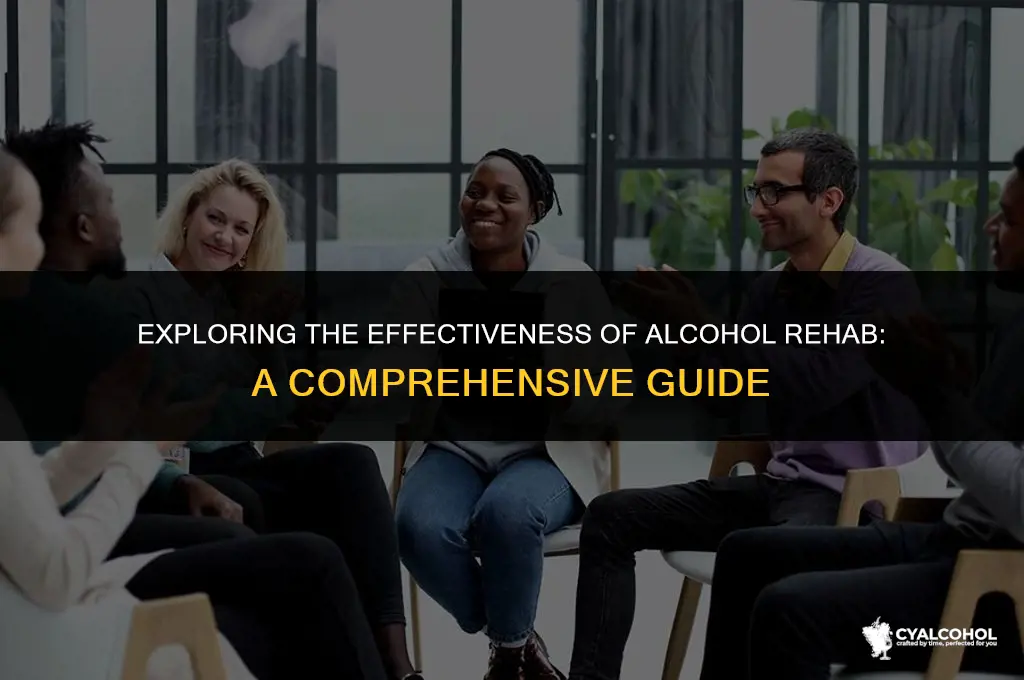 does alcohol rehab really work