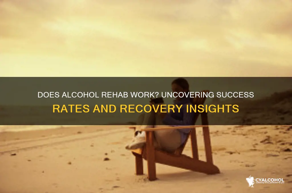does alcohol rehab work