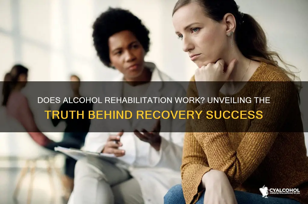 does alcohol rehabilitation work