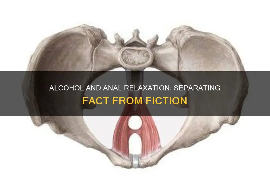 does alcohol relax anus