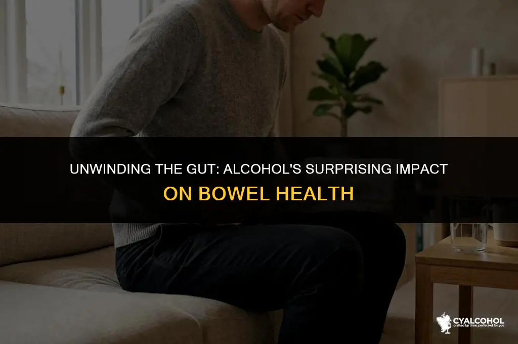 does alcohol relax the bowel