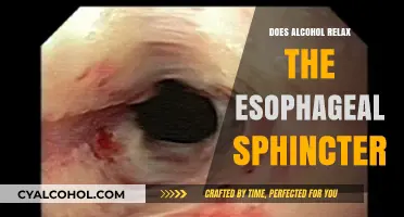 Alcohol's Impact: Does It Relax the Esophageal Sphincter?