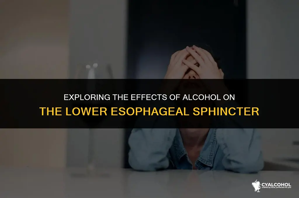 does alcohol relax the les