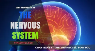 Alcohol's Impact: Does It Truly Relax Your Nervous System?