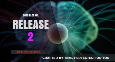 Does Alcohol Release Dopamine? Unraveling the Science Behind the Buzz