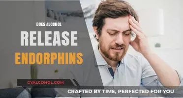 Alcohol and Endorphins: Unraveling the Brain's Reward System Connection