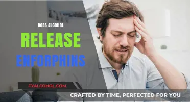 Alcohol and Endorphins: Unraveling the Brain's Reward System Connection