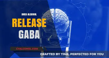 Does Alcohol Release GABA? Unraveling the Brain's Neurotransmitter Response