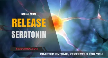Does Alcohol Boost Serotonin? Unraveling the Brain Chemistry Connection