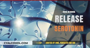 Alcohol and Serotonin: Unraveling the Brain's Feel-Good Chemistry Connection